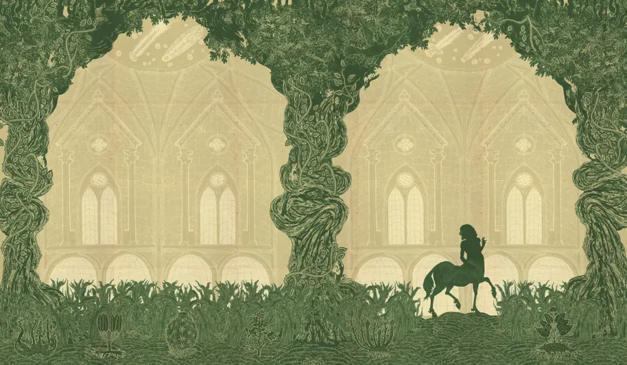 Harry Potter 5 ilustrado