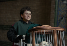 Serie de Harry Potter 2026: la guía para conocer más de la nueva adaptación de HBO Serie de Harry Potter con Harry empujando una jaula con Hedwig por los pasillos de Hogwarts